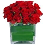 red roses