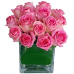 pink roses