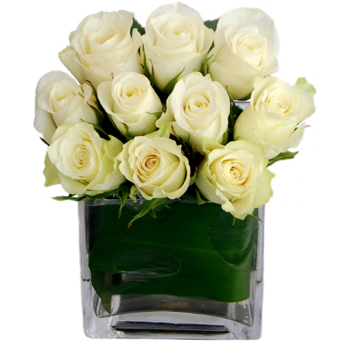 white roses