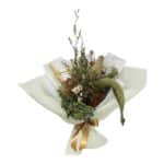 Everlasting Dried Wildflower Native