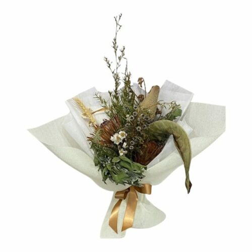 Everlasting Dried Wildflower Native